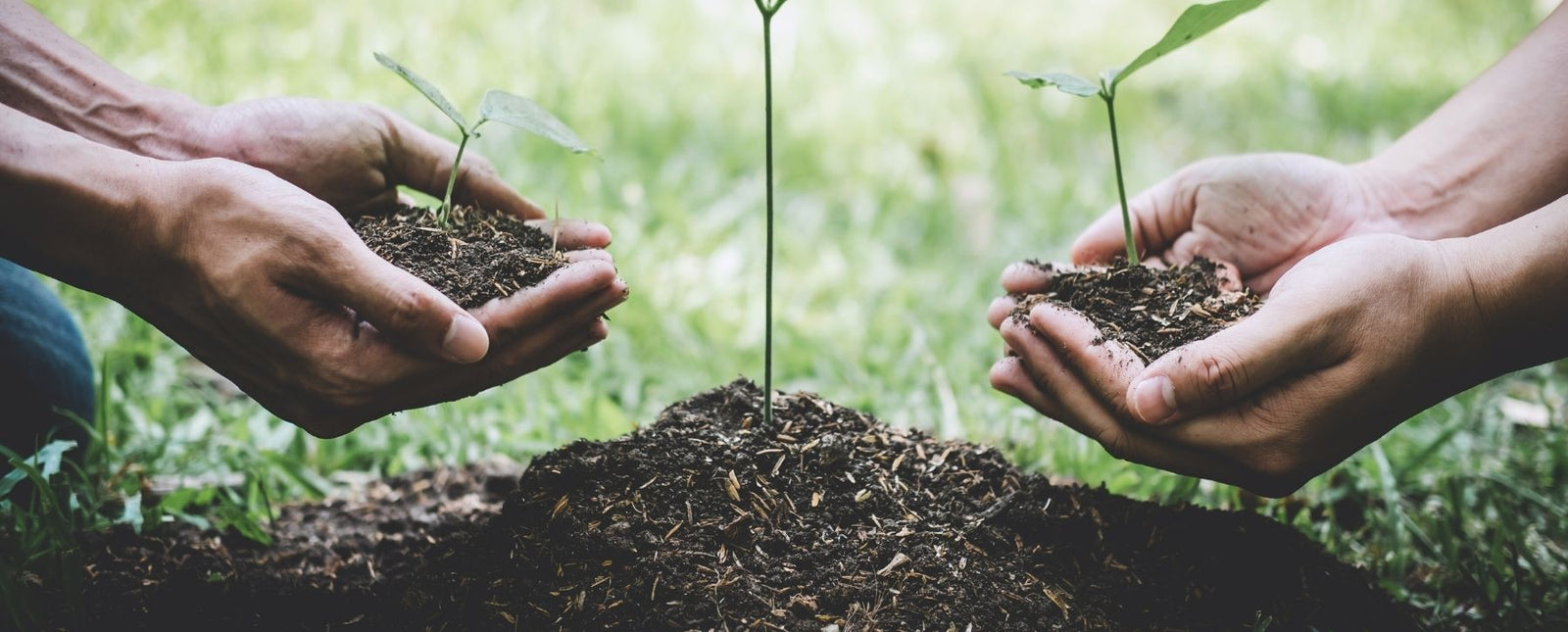 Is Steel A Sustainable Design Material? The Answer Might Surprise You