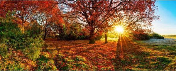Brighten Up Autumn with these Summer Inspired Designs Blog Image