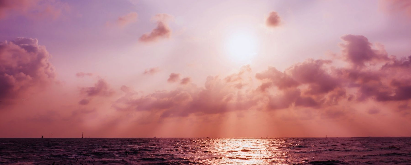 Feel Inspired this February with Our Stunning Steel Designs Blog Image