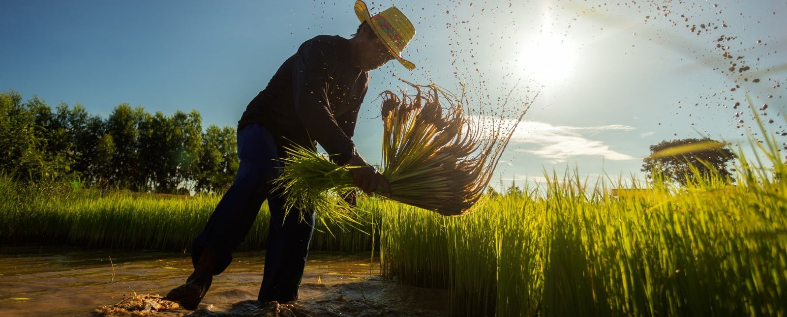 Get Ready for Spring with Our Farm-Inspired Steel Décor