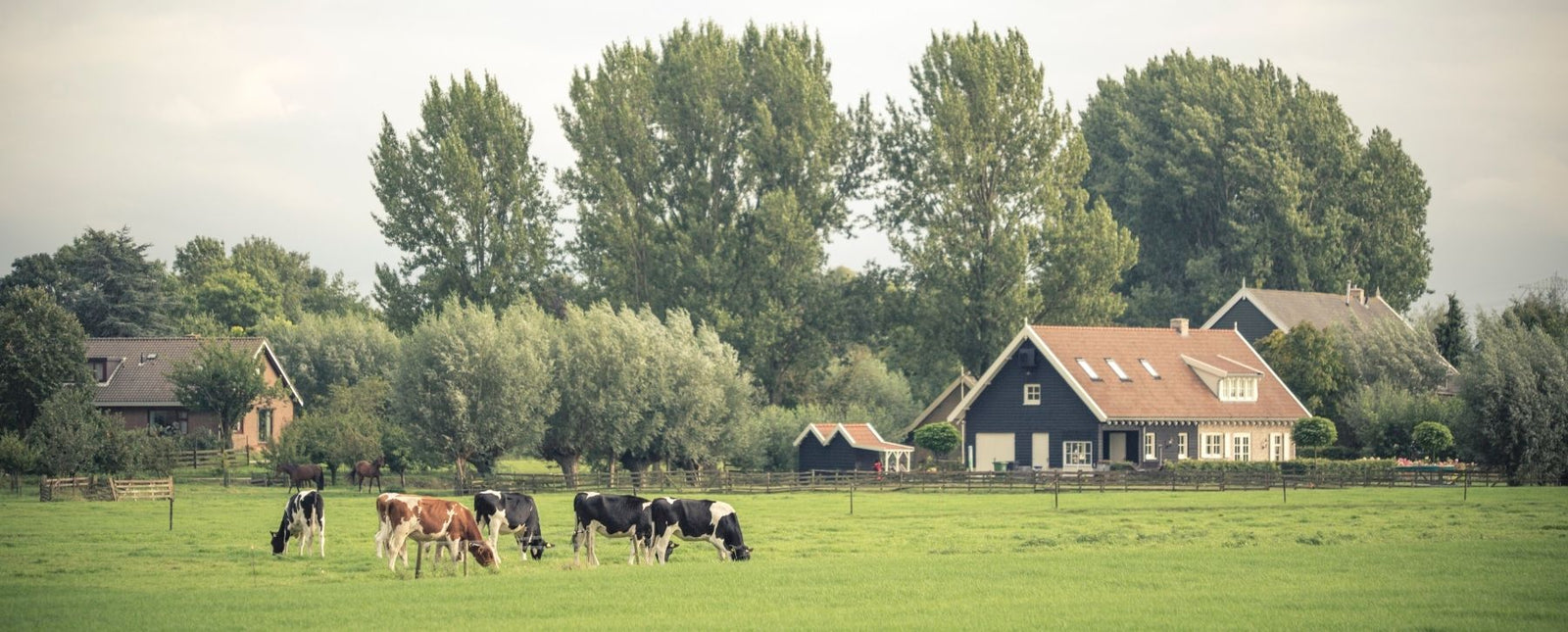 Barnstorming Steel Designs For Your Farm
