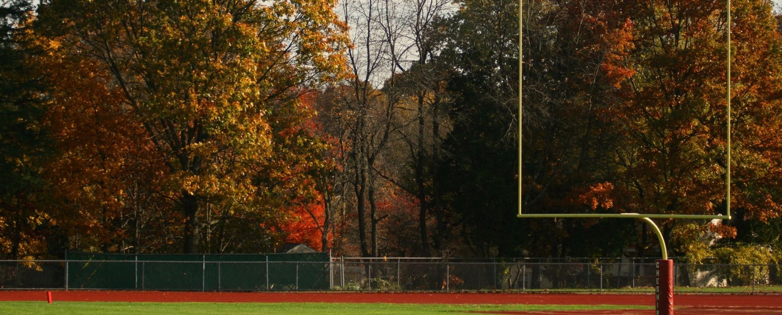 RealSteel Art For Every Football Fan! Blog Image