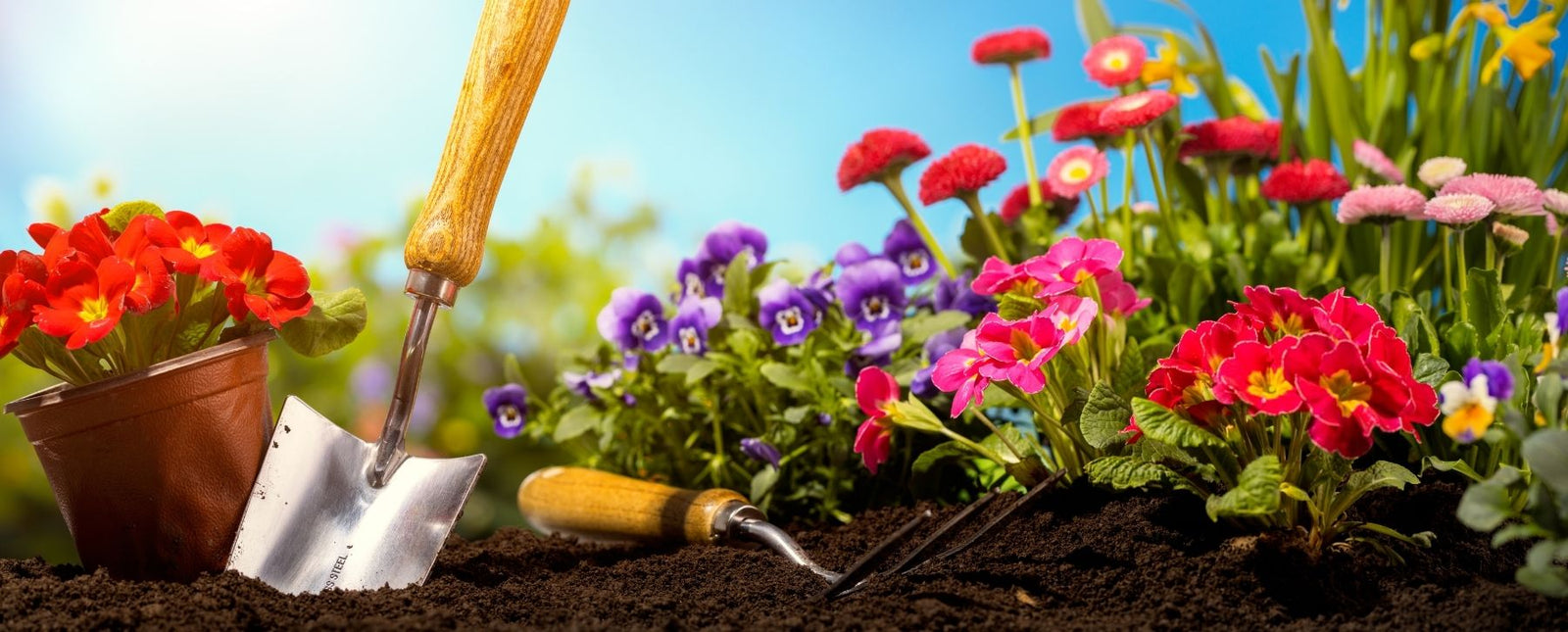 Third Time Lucky: Our Best Gardening 3 Packs