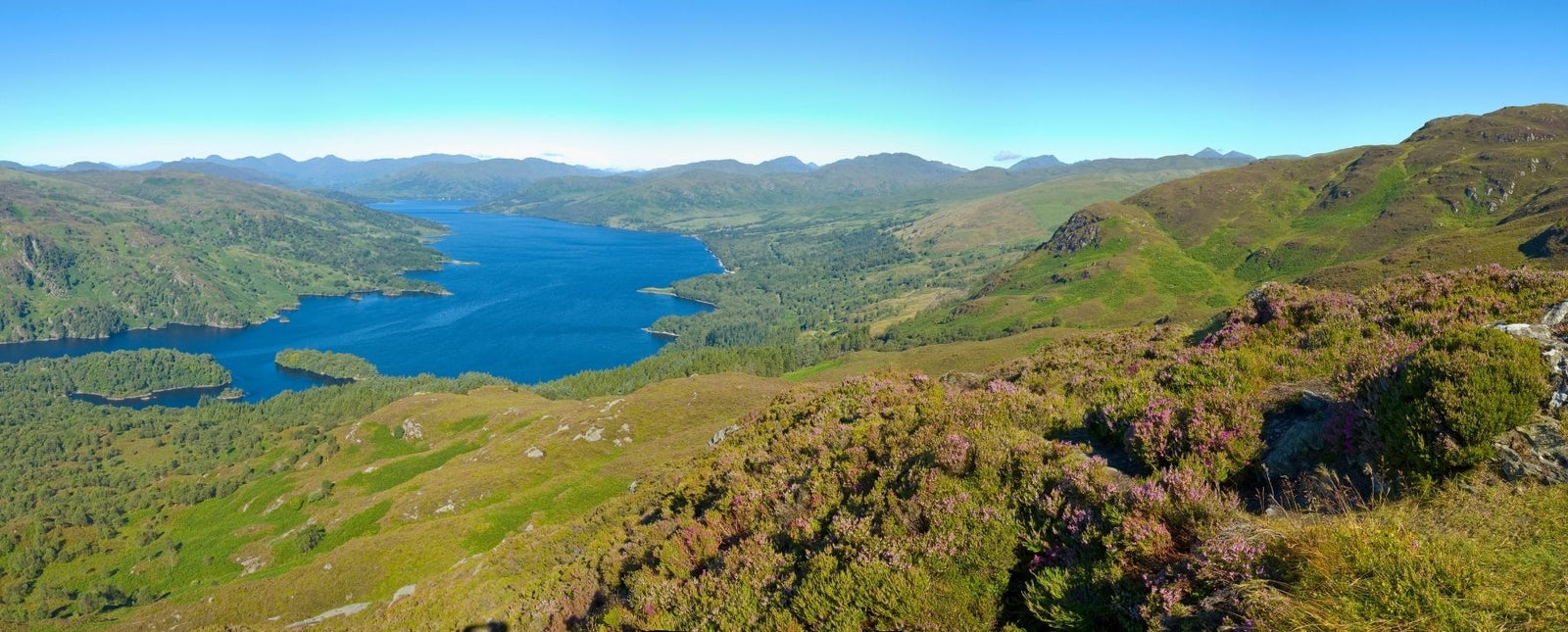 Bring the Great Outdoors Inside with Some Smart Steel Décor