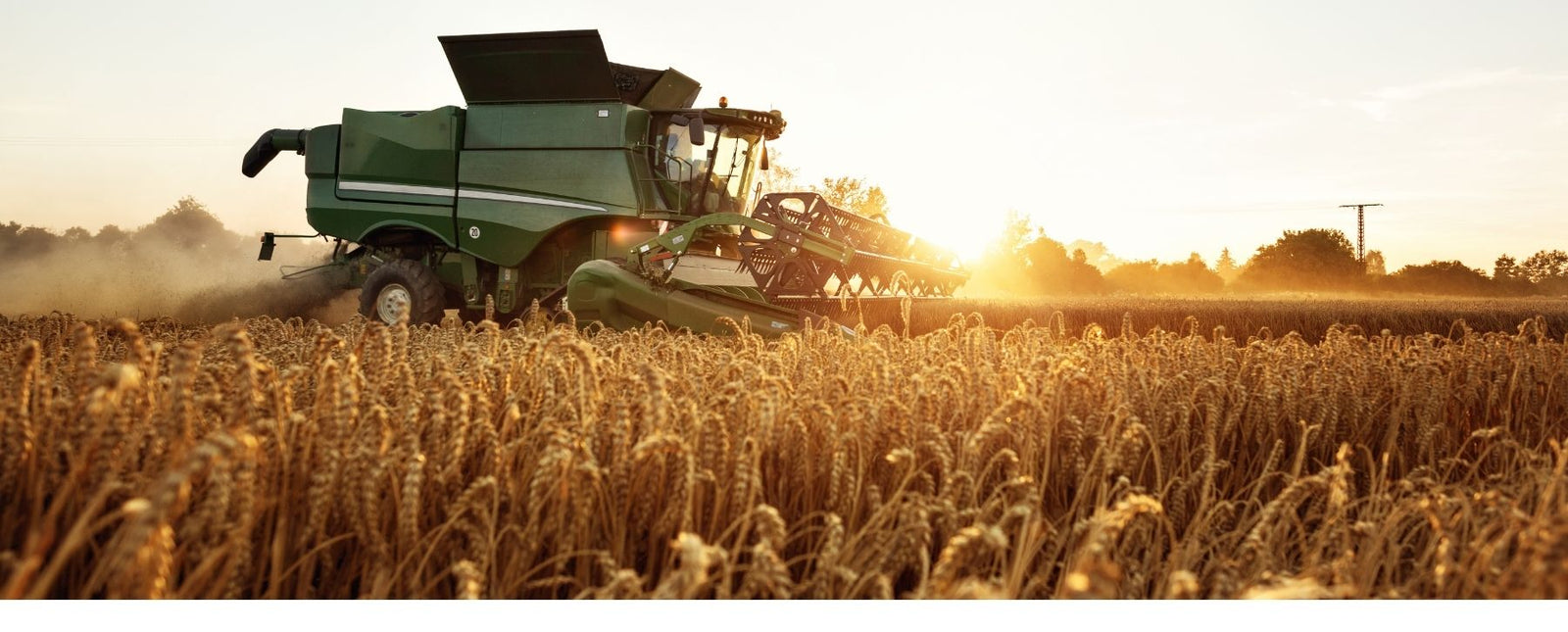 RealSteel Harvest blog image