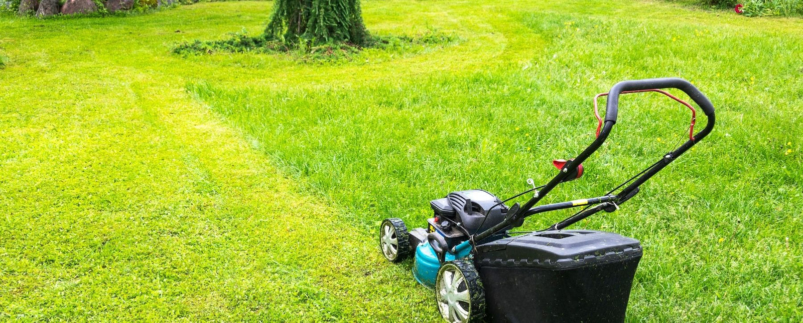 RealSteel Lawn blog image