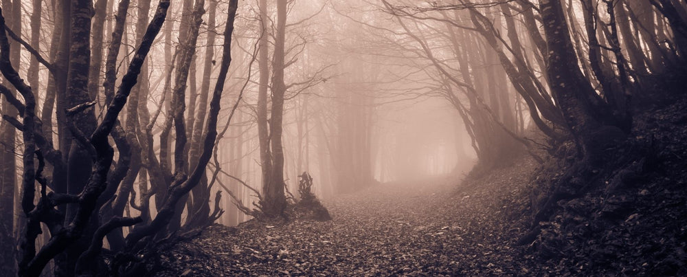 RealSteel Spooky Season Blog Images