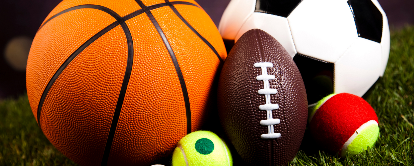 The Perfect RealSteel Gift for the Sports lover in Your Life