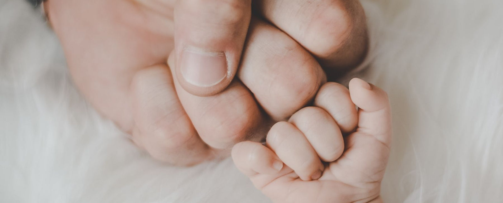 Father's Day Gift Guide