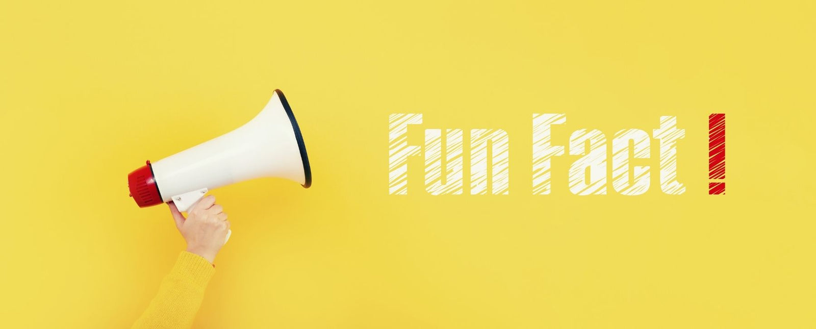 REALSTEEL FUN FACTS: