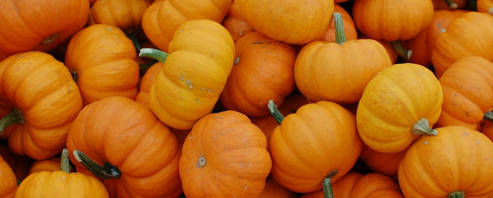 FALL DECOR TRENDS FOR 2020