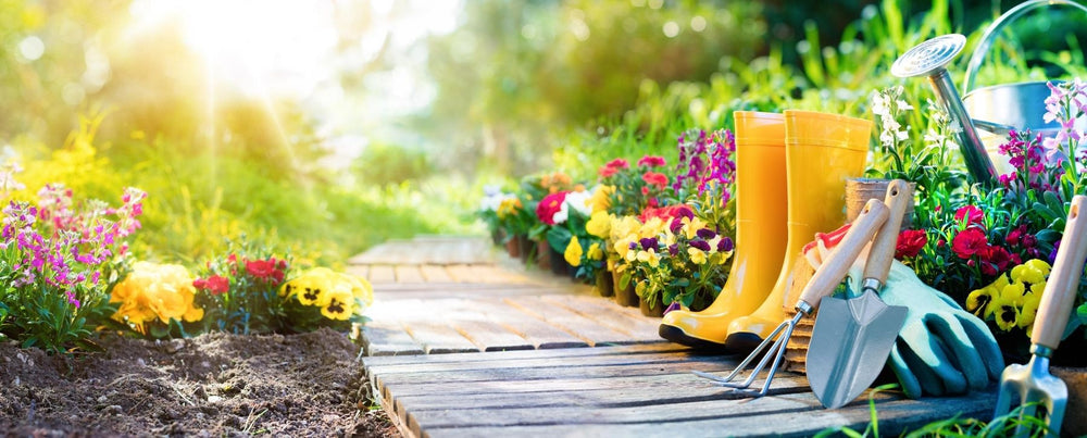 TIPS FOR YOUR FALL GARDEN