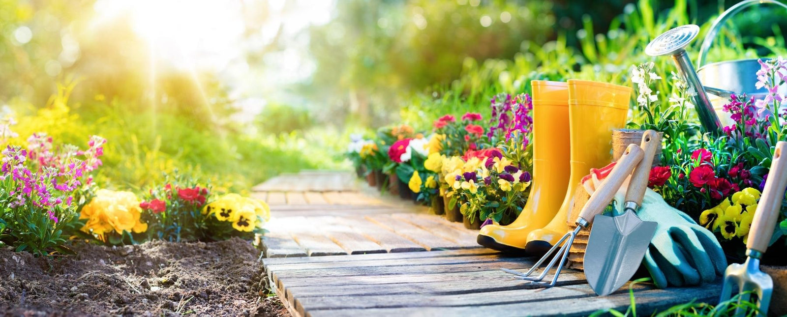 TIPS FOR YOUR FALL GARDEN