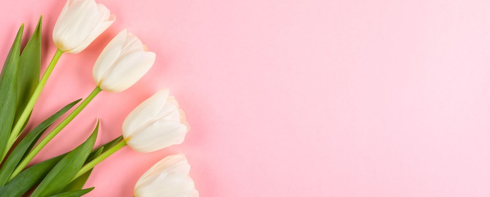 Get into the Swing of Spring with Some RealSteel Décor