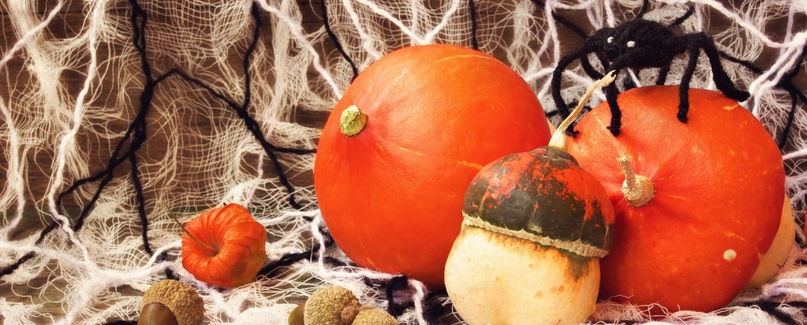 The Best Designs for a Frightening First Impression Blog Image