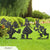 Alice In Wonderland - Set 1 - RealSteel Center