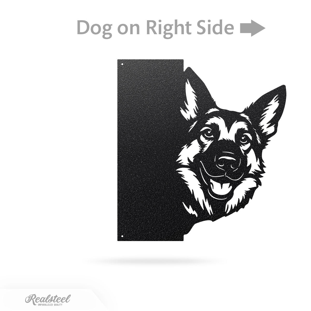 Beware of Dog Address Sign