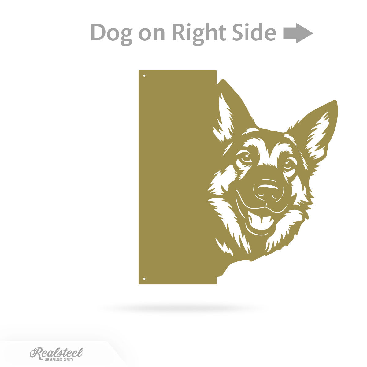 Beware of Dog Address Sign