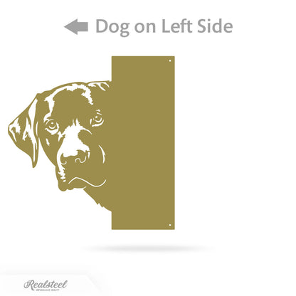 Beware of Dog Address Sign