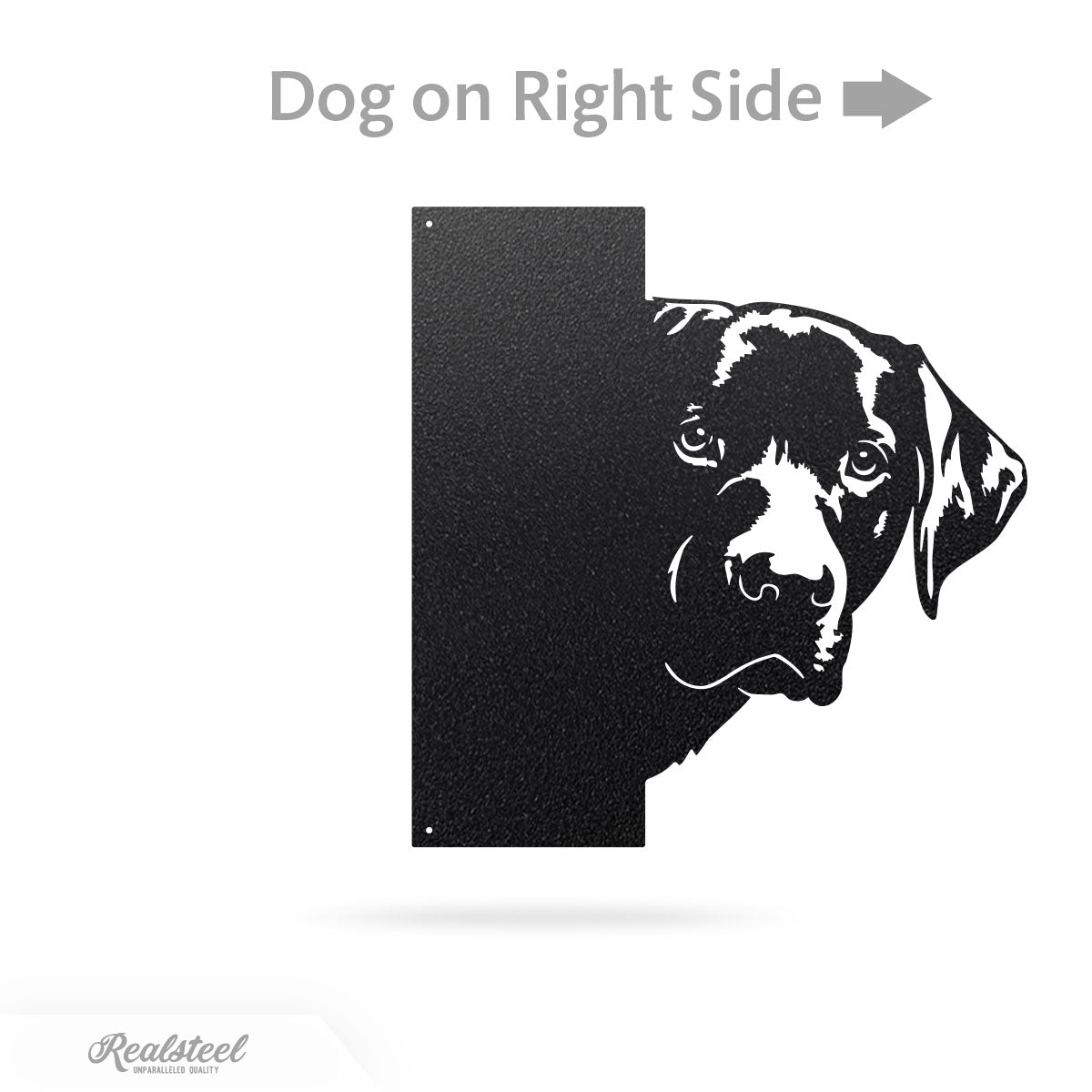 Beware of Dog Address Sign