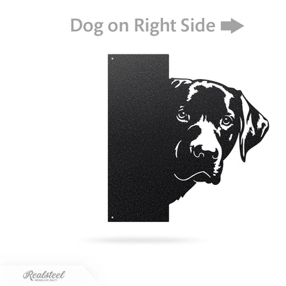 Beware of Dog Address Sign