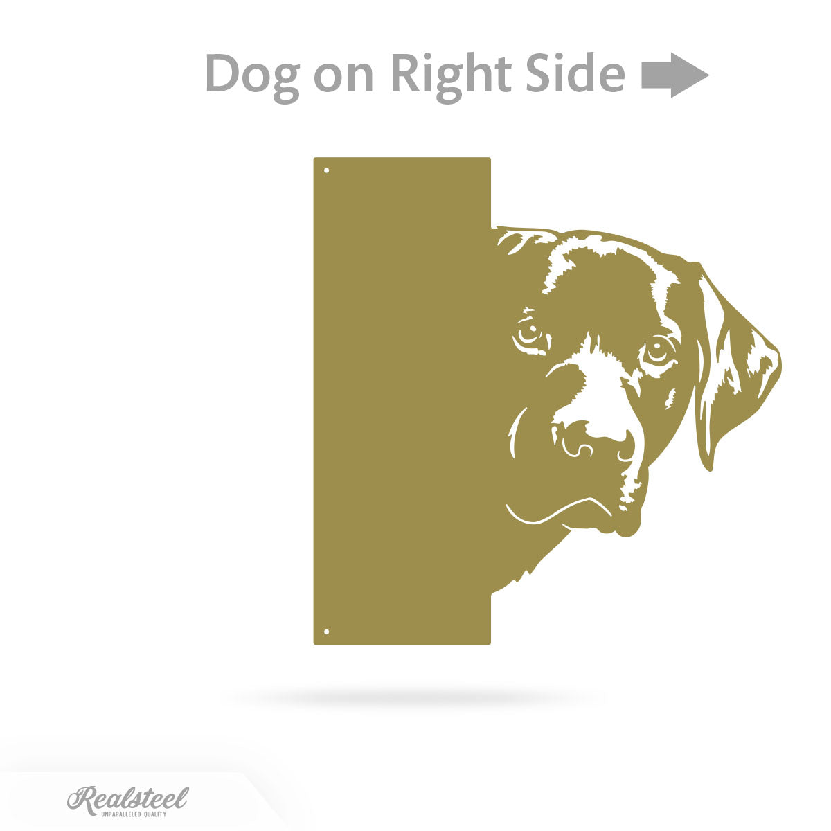 Beware of Dog Address Sign