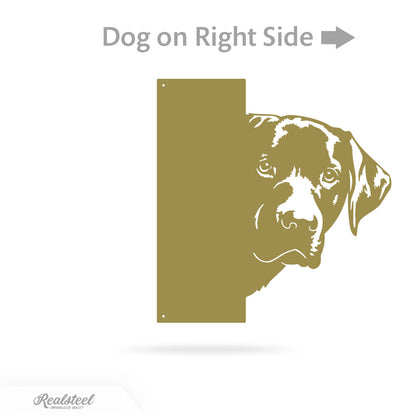 Beware of Dog Address Sign