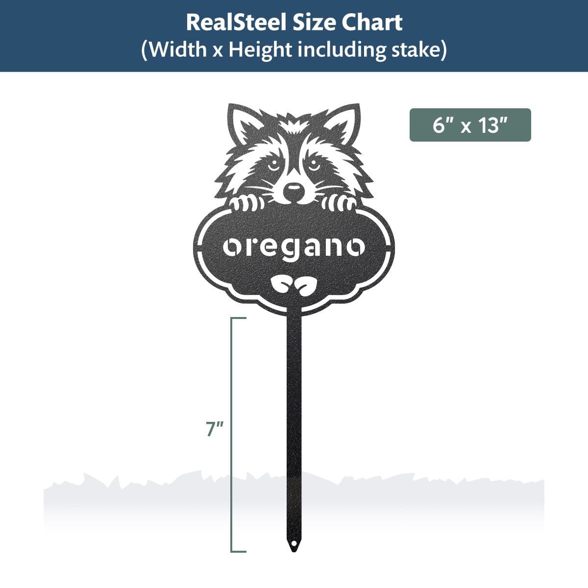 Rocky the Raccoon Seed & Plant Markers - RealSteel Center