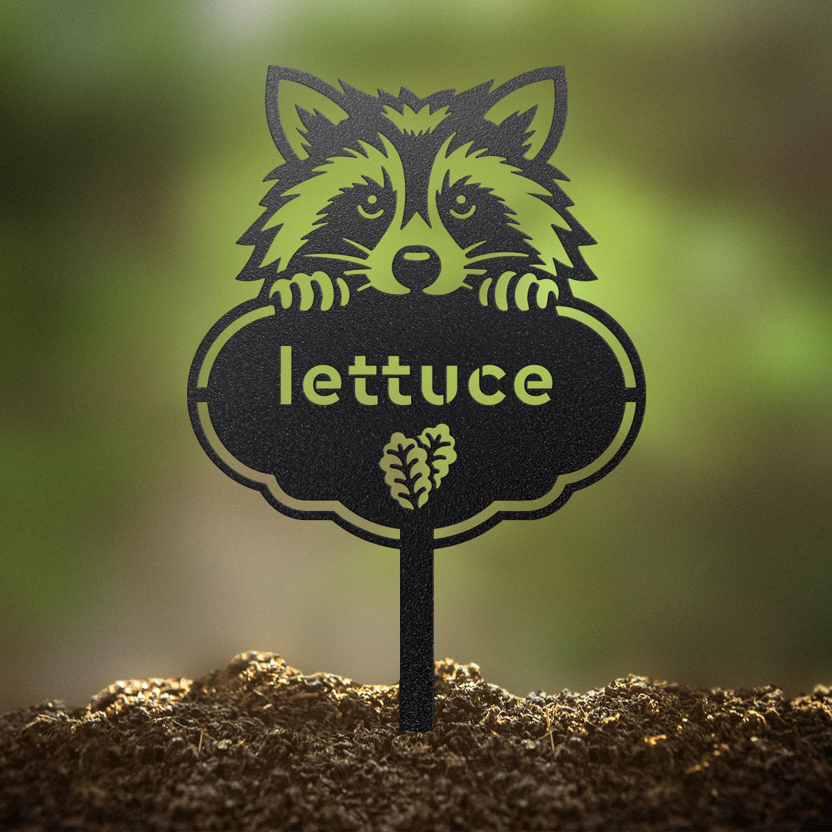 Rocky the Raccoon Seed & Plant Markers - RealSteel Center