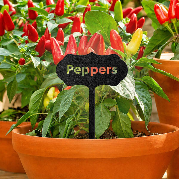 Seed & Plant Markers