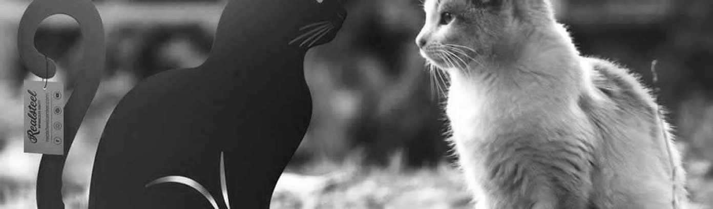 Custom Design Request