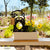 Flower Pot Gnomes - 4 Pack  - RealSteel Center