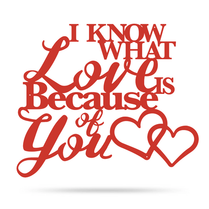 I Know What Love Is Wall Art 12"x14" / Red - RealSteel Center