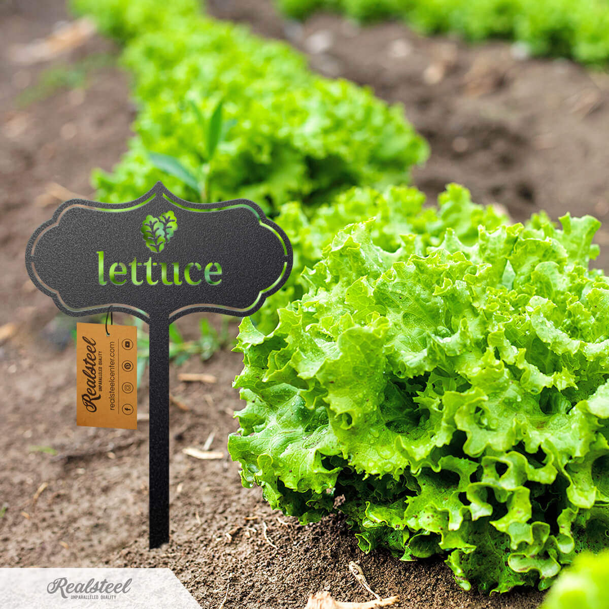 garden seed markers Elevate Your Gardens Appearance: Handcrafted Seed & Plant Markers – RealSteel Center