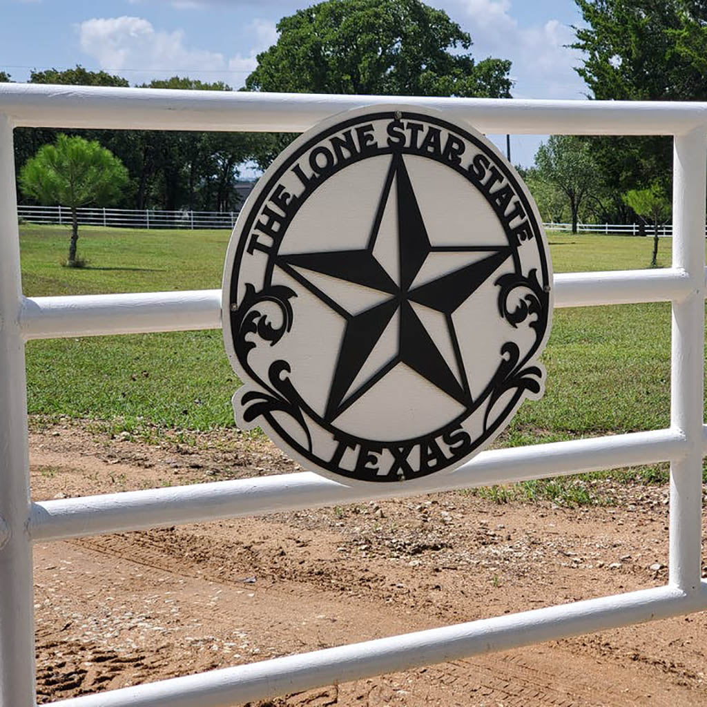 The Lone Star State Texas  - RealSteel Center